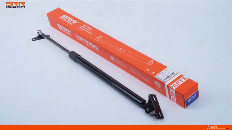 Tailgate Support Strut