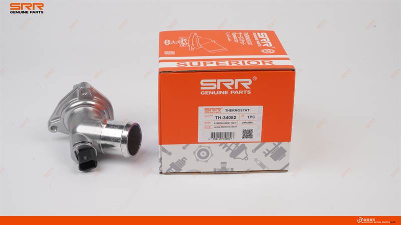 Termostato electrónico 100℃
