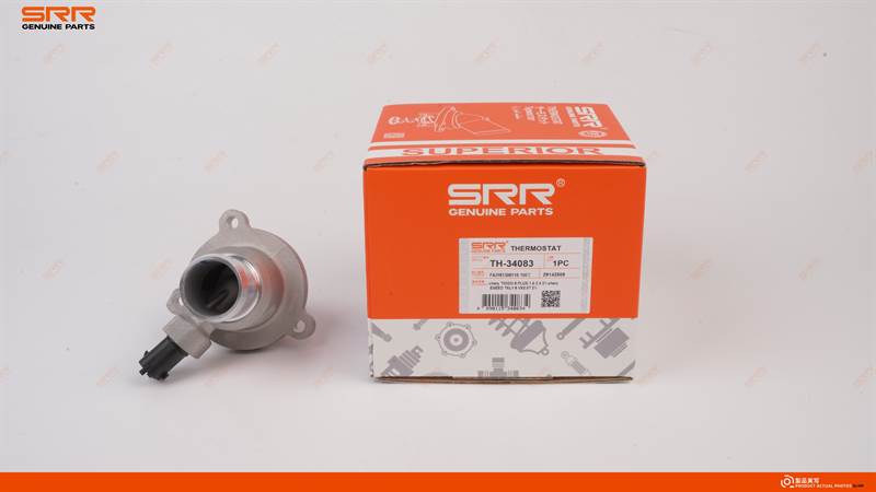Termostato electrónico 100℃