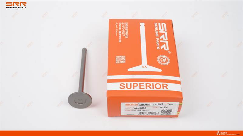 排气门 31.1*7*101.5